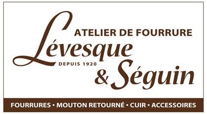 Levesque et Segin